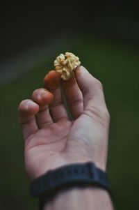 Close-up of hand holding tomato