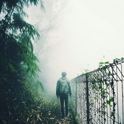 Full length of young woman standing by railing