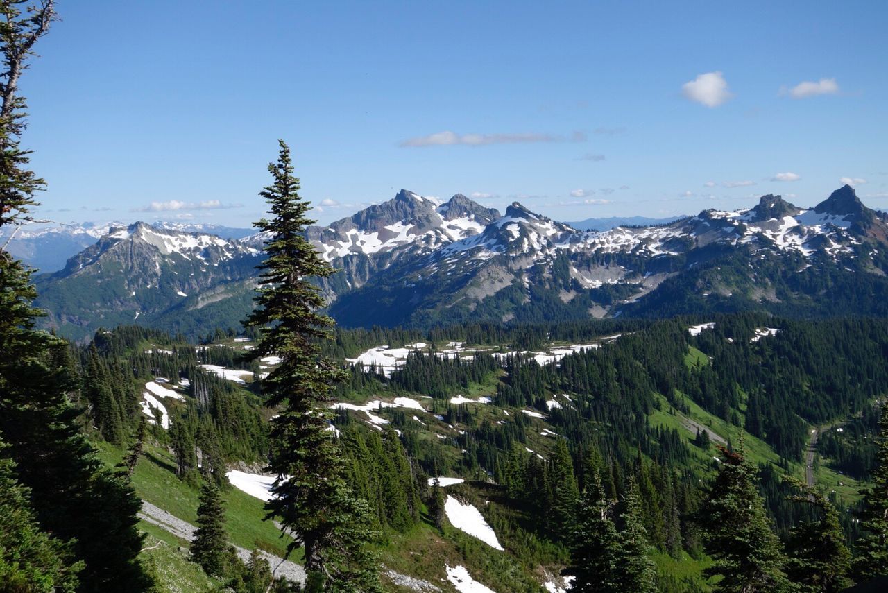 SCENIC VIEW OF MOUNTAINS