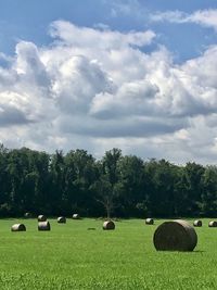 Hay bales on field against sky