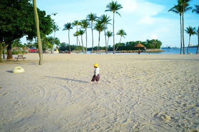 Rear view of man on beach