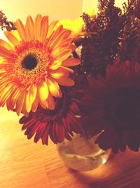 Close-up of yellow flower