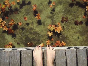 Autumnal leaves on wooden wall