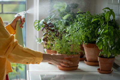 Midsection of woman holding potted plant