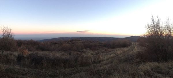 Scenic view of field against sky during sunset