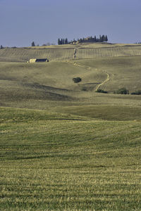 Scenic view of field against sky