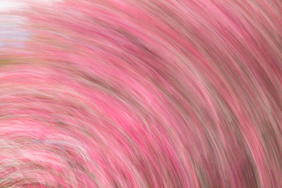 Full frame shot of multi colored background