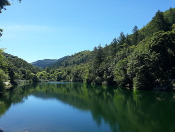 Scenic view of lake by trees against blue sky