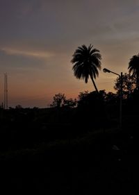 Silhouette palm trees against sky at sunset