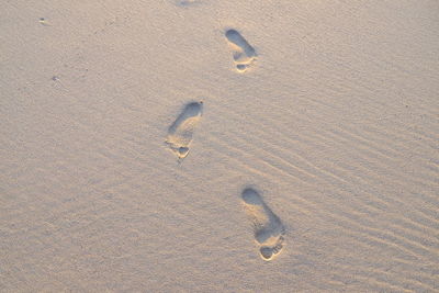 High angle view of footprints on beach