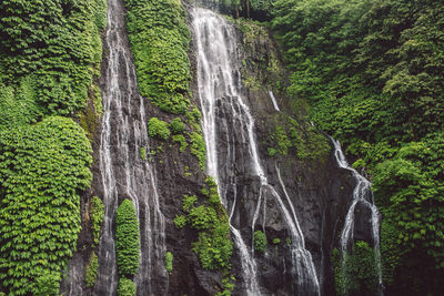 Low angle view of waterfall in forest