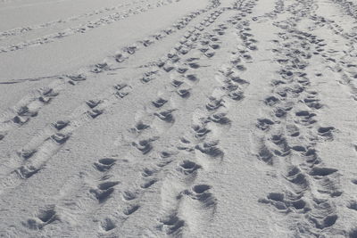 High angle view of footprints on snow covered land