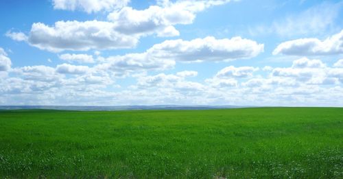 Scenic view of grassy field against cloudy sky