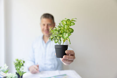 Man showing potted plant at home