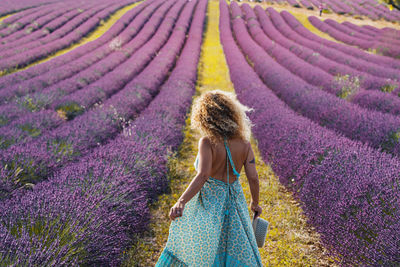 Rear view of woman walking on lavender field