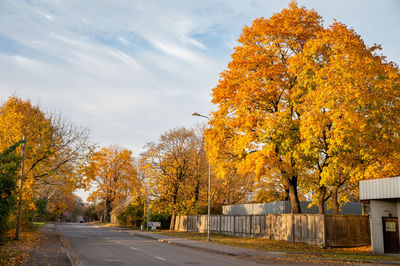 Autumn trees by road against sky