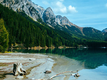 Scenic view of lake by trees against sky