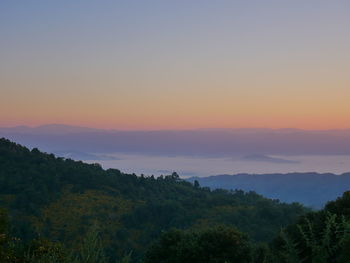 Scenic view of forest against sky during sunset