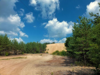 Road amidst trees on field against sky