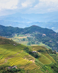 Scenic view of rice terrace fields against sky