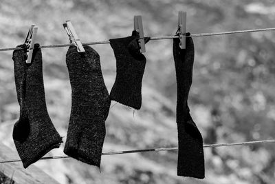 Close-up of clothes drying on rope
