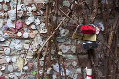 Padlocks attached to dried plants