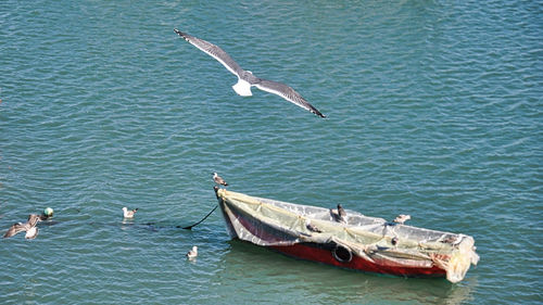 Flying seagull over fisherman boat 