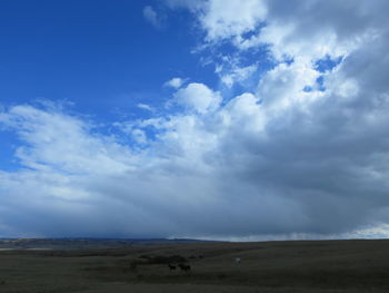 Scenic view of landscape against blue sky