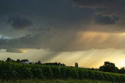 Scenic view of field against sky during sunset