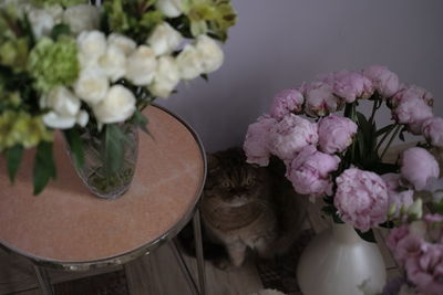 Close-up of pink flowers on table