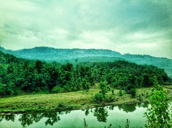 Scenic view of lake in forest against sky