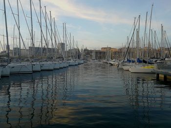 Sailboats moored in harbor at sunset