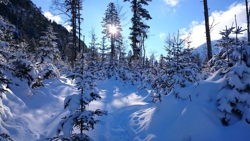 Scenic view of snow covered mountains