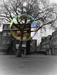 View of building with trees in background