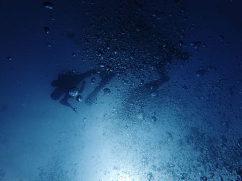 Man swimming in sea