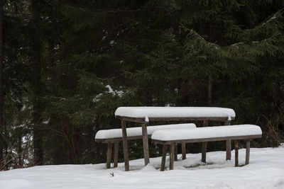 View of snow covered field in forest