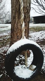 Close-up of frozen tree trunk during winter