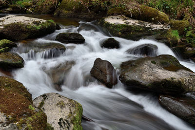 Stream flowing through rocks in forest