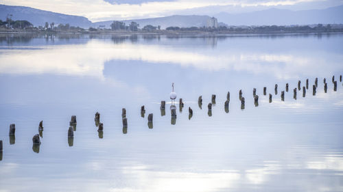 Panoramic view of birds in lake against sky