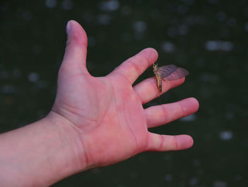 Close-up of hand against blurred background