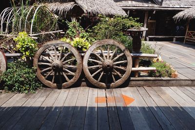 Potted plants on wood