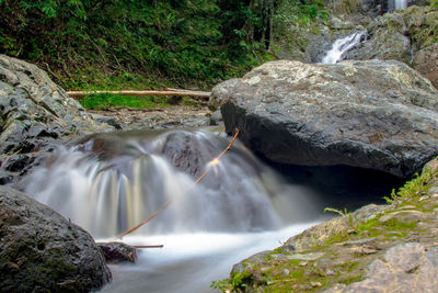 Scenic view of waterfall in forest