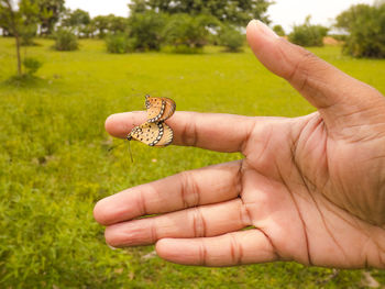 Cropped image of person holding butterflies at grassy field