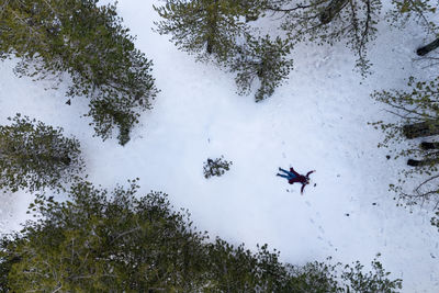 Low angle view of airplane flying against sky