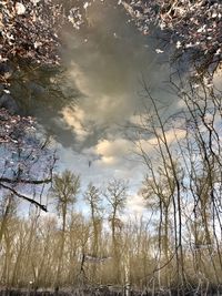 Bare trees by lake against sky