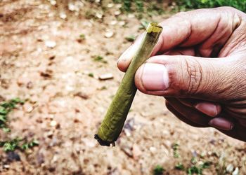 Close-up of hand holding marijuana joint