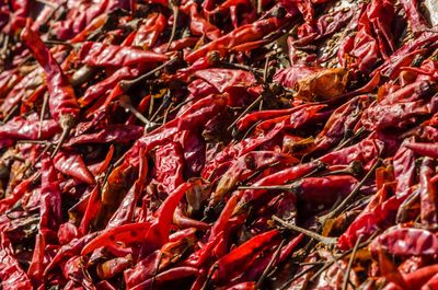 Full frame shot of red chili peppers for sale at market