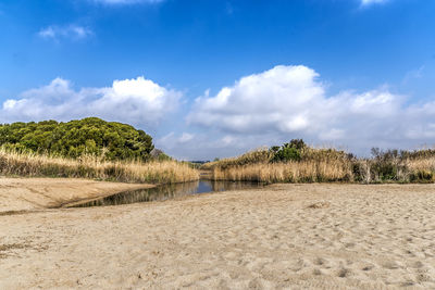 Scenic view of landscape against cloudy sky