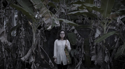 Portrait of woman standing amidst banana trees