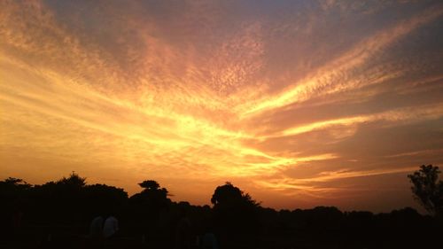 Silhouette trees against sky during sunset